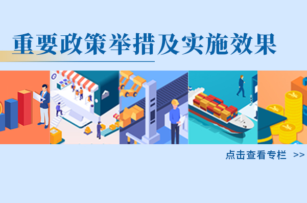 重要政策舉措及實施效果